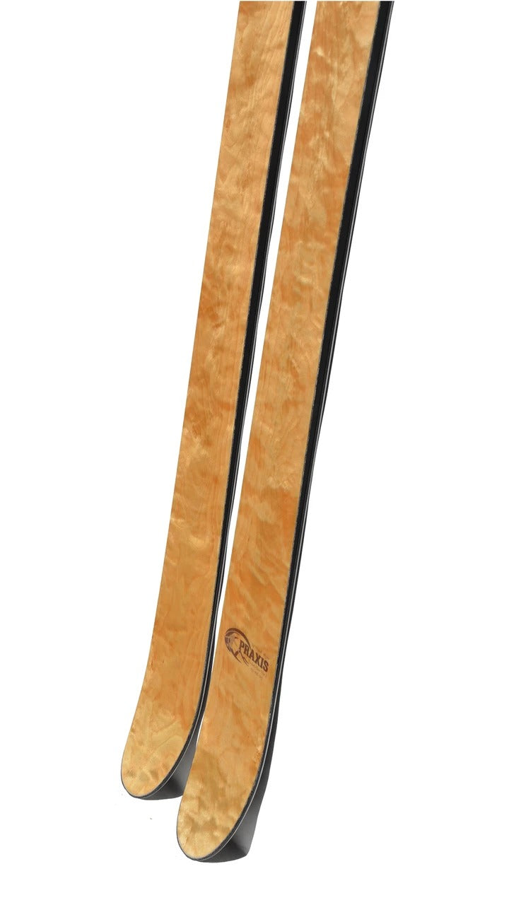 Praxis MVP 108